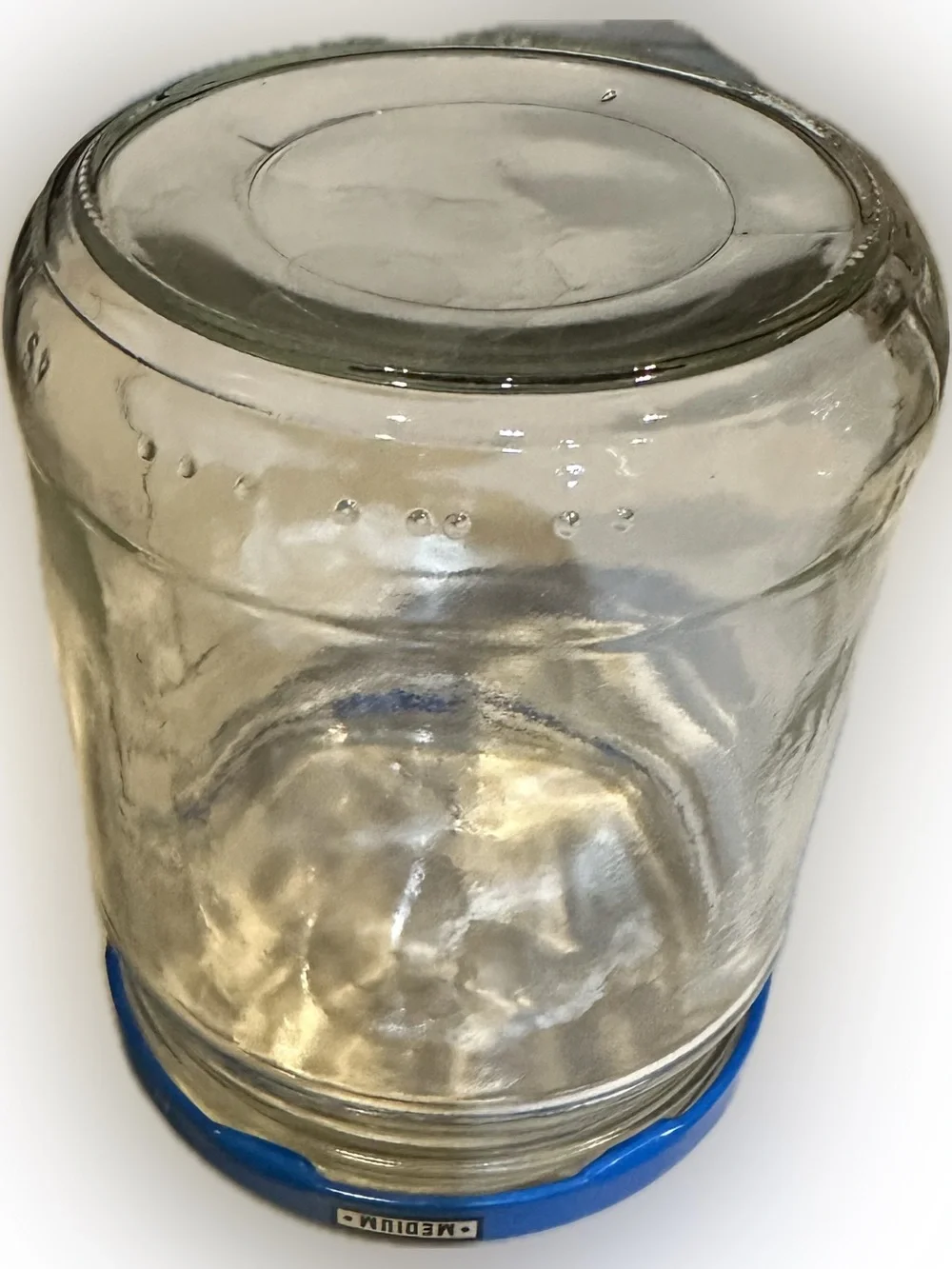 15 OZ WIDE MOUTH GLASS JARS TOSTITOS SALSA ON BORDER LEFTOVER SOUR DOUGH STARTER